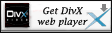 Divx Player